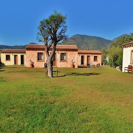 B&B Pubulos Olbia Dış mekan fotoğraf
