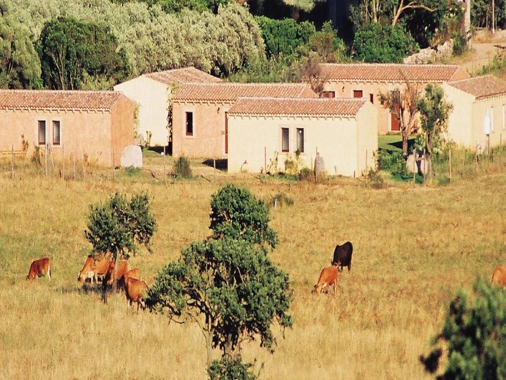 B&B Pubulos Olbia Dış mekan fotoğraf